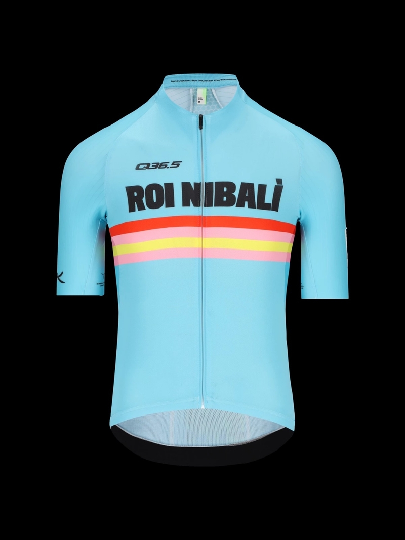 Gregarius  Pro Roi Nibali Jersey